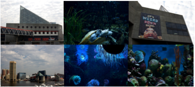 Baltimore National Aquarium